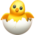 PaskaggWiki