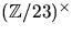 $(\mathbb Z/23)^{\times}$