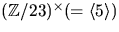 $(\mathbb Z/23)^{\times}(=\langle 5\rangle)$