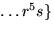 $\ldots r^{5}s\}$