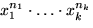 $x_1^{n_1}\cdot \dots\cdot x_k^{n_k}$