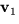 $\mathbf v_{1}$