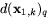 $d(\mathbf x_{1,k})_{q}$