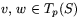 $v,\,w\in T_{p}(S)$