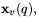 $\mathbf x_{v}(q),$