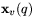 $\mathbf x_{v}(q)$