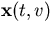 $\mathbf x(t,v)$