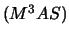 $(M^3AS)$